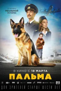 Смотреть  Пальма  