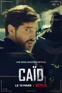 Смотреть  Дилер  