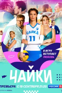 Смотреть  Чайки  