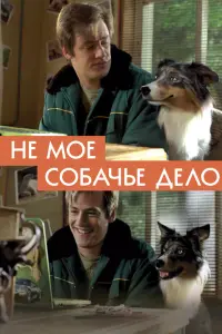 Смотреть  Не моё собачье дело  