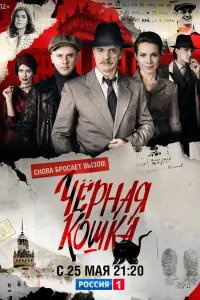 Смотреть  Чёрная кошка  